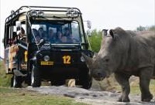 Busch Gardens Tampa and Adventure Island Combo